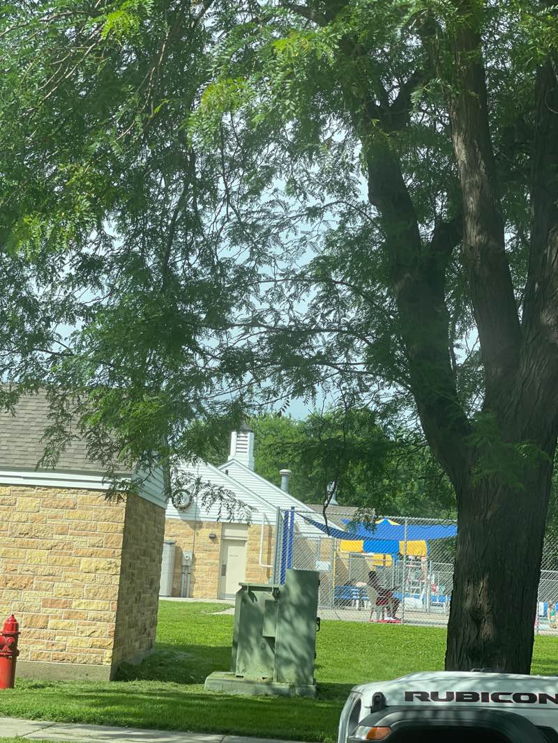 walking near me in Veteran's Memorial Park in summer