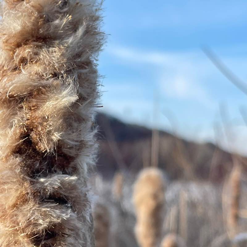 Samantha Wendt post 1