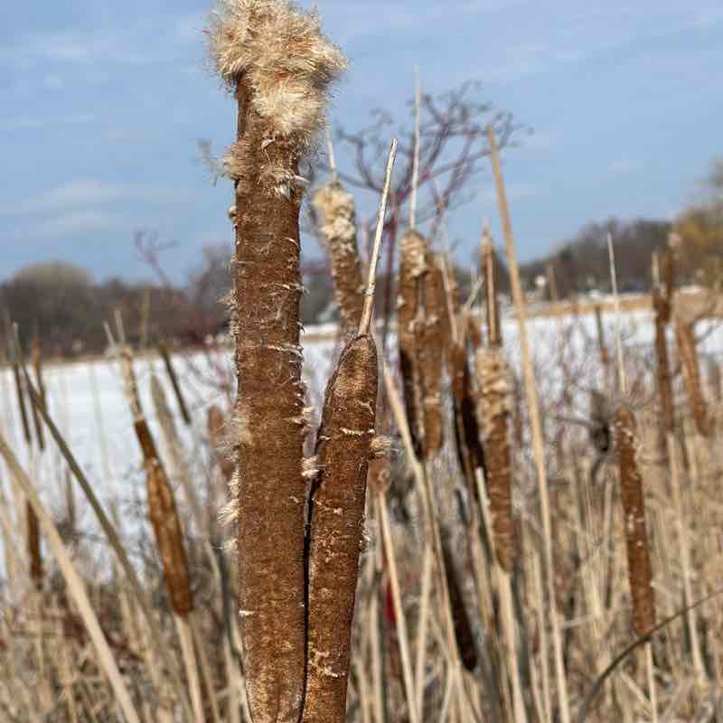 Samantha Wendt post 1