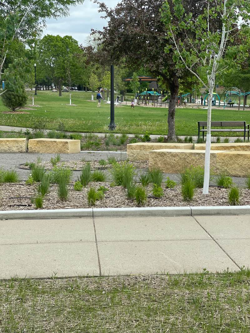 walking near me in Gorman Park in summer