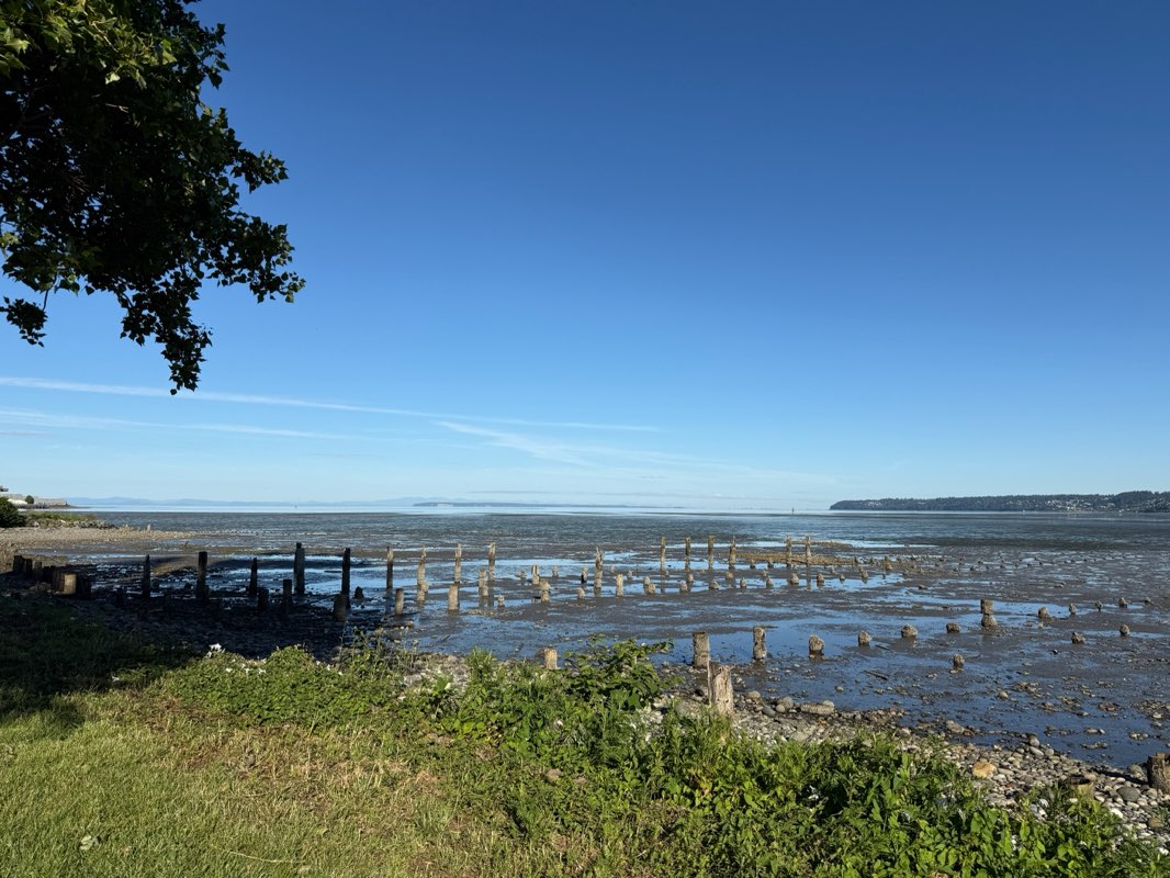 walking near me in Blaine Marine Park in summer