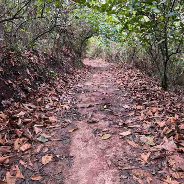 Mohd Nor Monox post 2