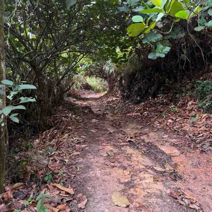 Mohd Nor Monox post 1