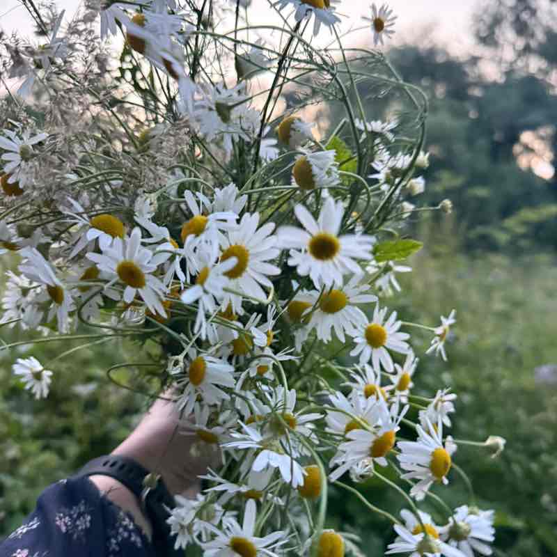 Шагающие Блондинки 💃💃💃💃 🐯Наталья_Солнце☀️🐯 post image