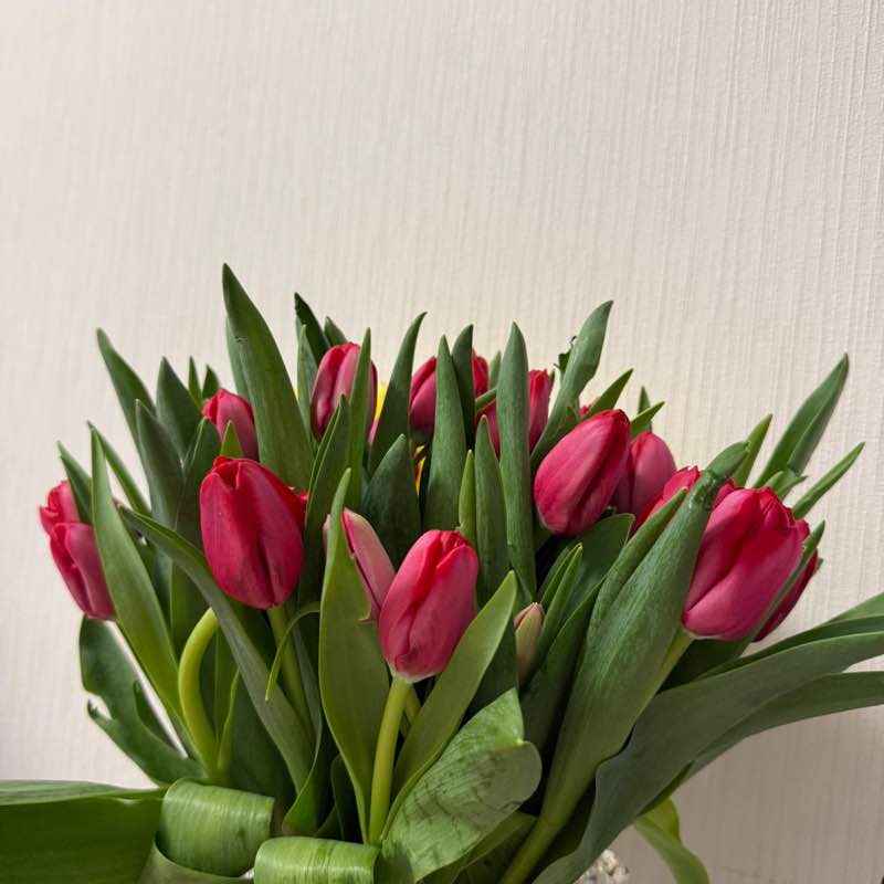 🐯Наталья_Солнце☀️🐯 post 2