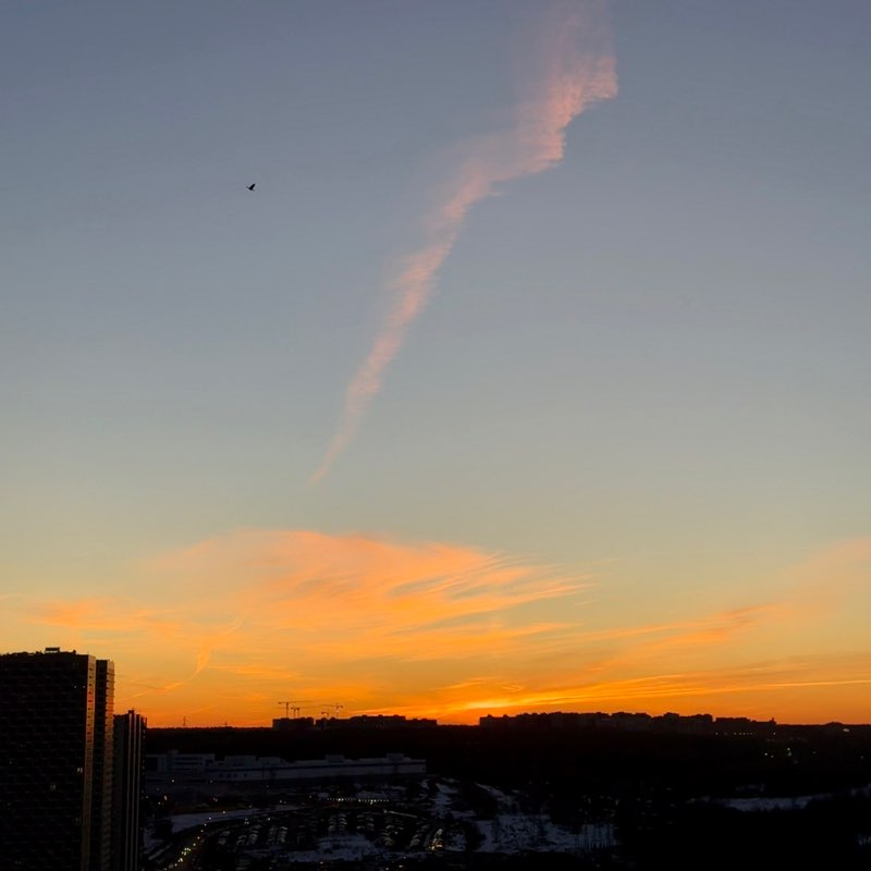 🐯Наталья_Солнце☀️🐯 post 3