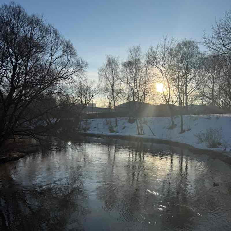 🐯Наталья_Солнце☀️🐯 post 2