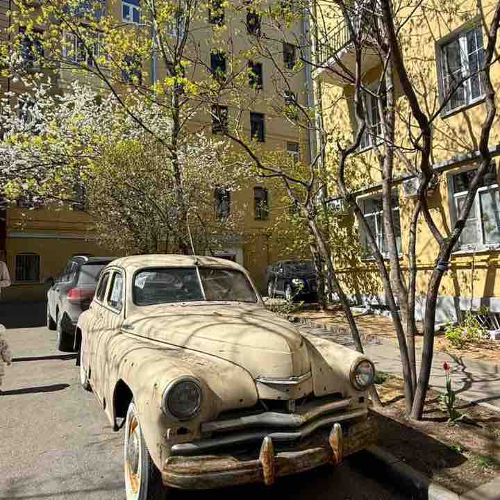 🐯Наталья_Солнце☀️🐯 post 3