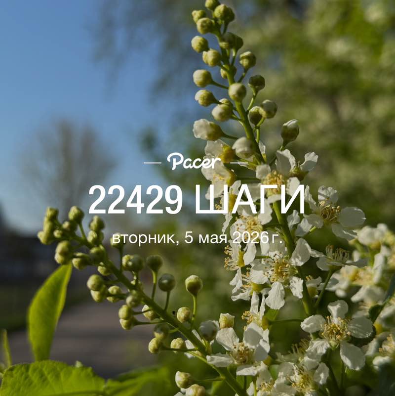 🐯Наталья_Солнце☀️🐯 post 2