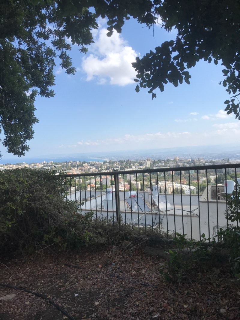 walking near me in Hasidei Umot HaOlam Park in winter