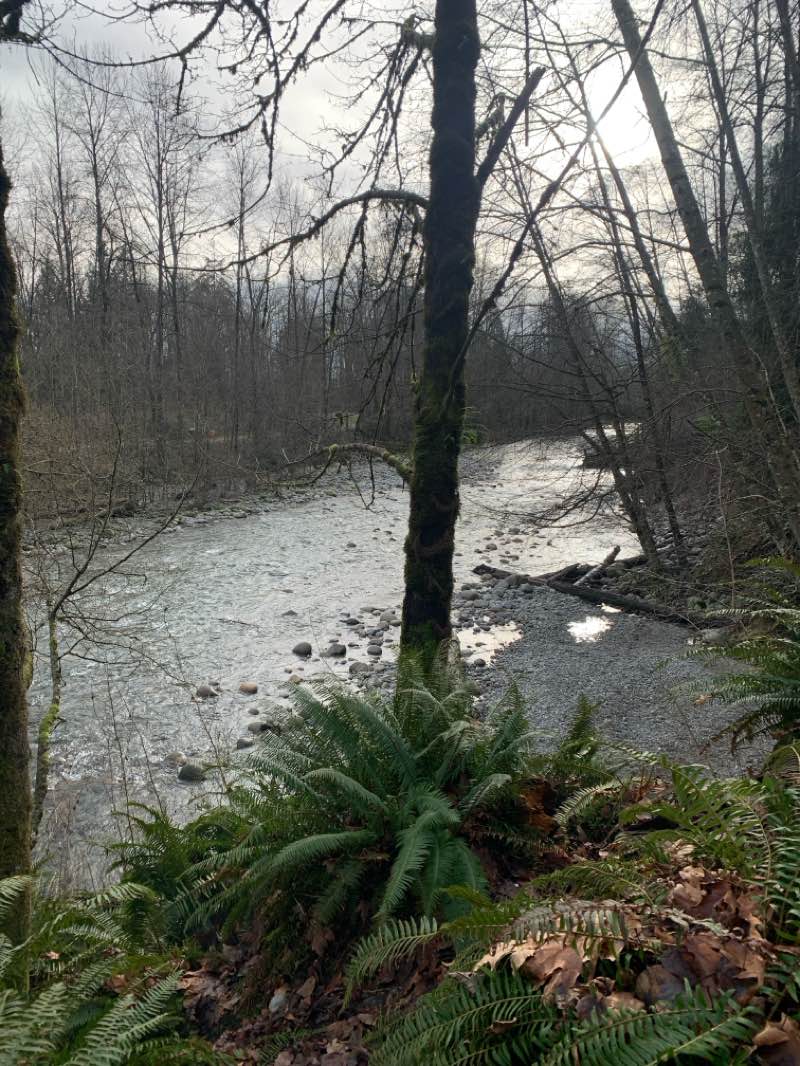 walking near me in Bridgman Park in winter