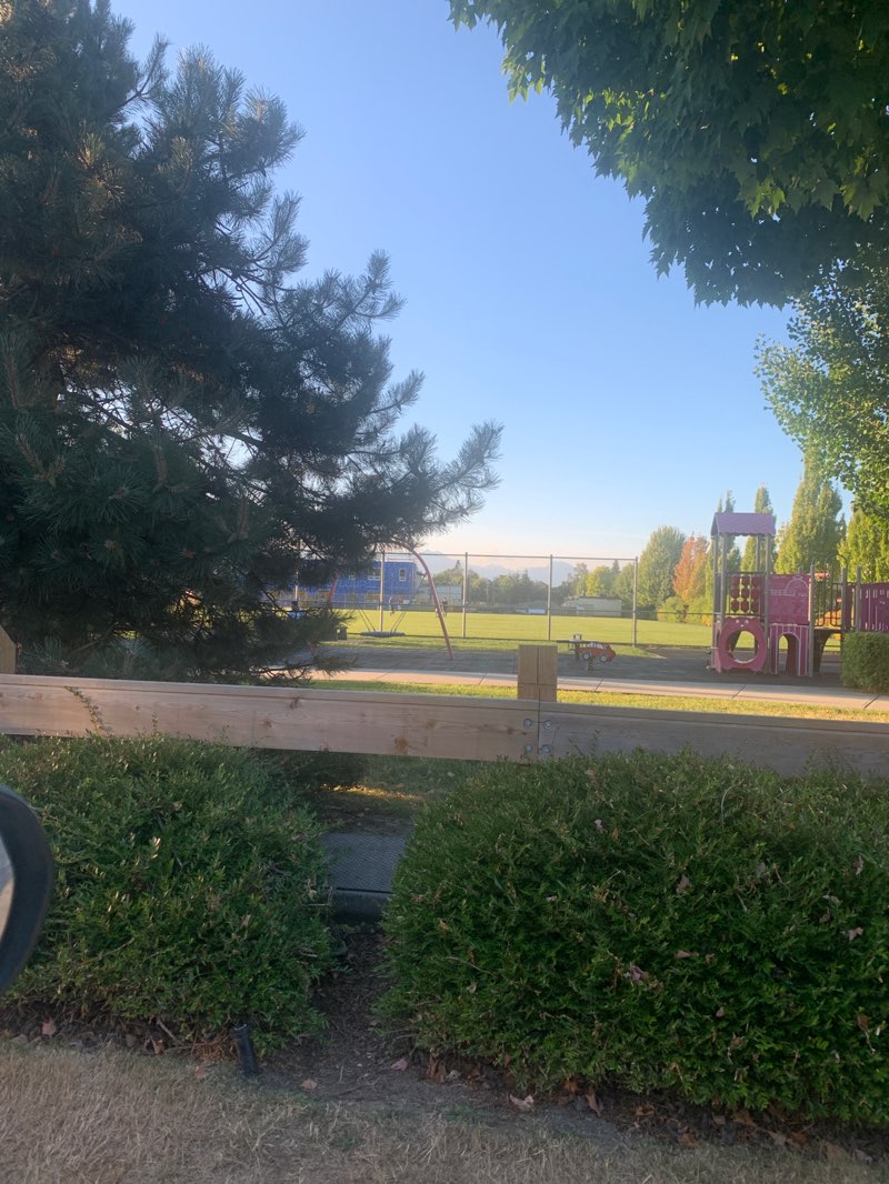 walking near me in Lynn Fripps Park in autumn