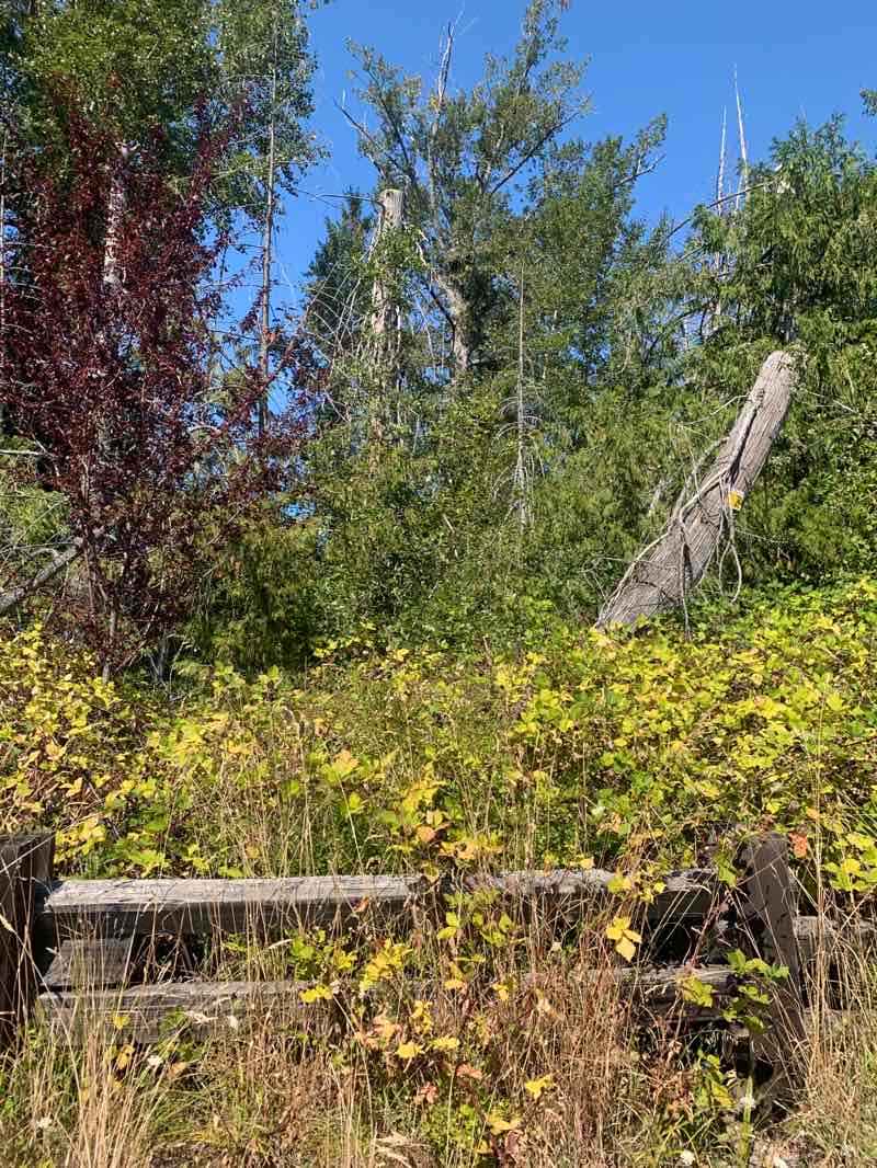 walking near me in Eagle Park in autumn