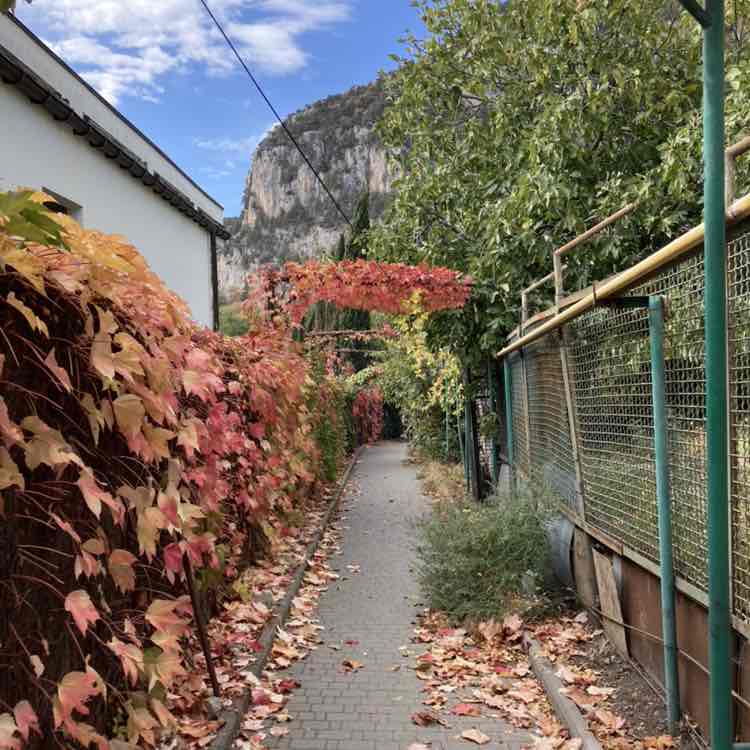 Olga Streltsova post 2