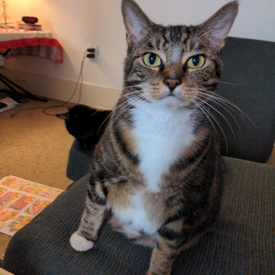 Call me David post 2