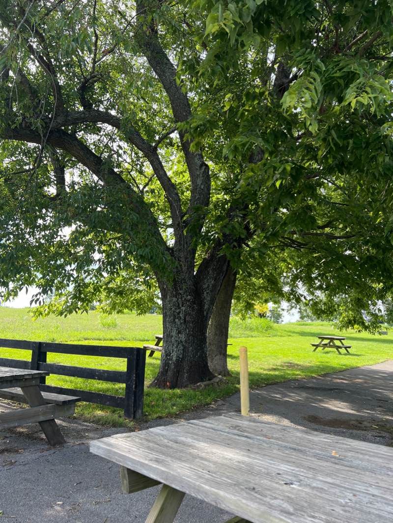 walking near me in Battlefield Park in winter