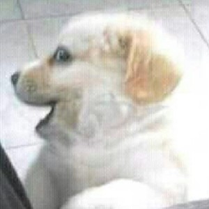 Воробьева Лиза