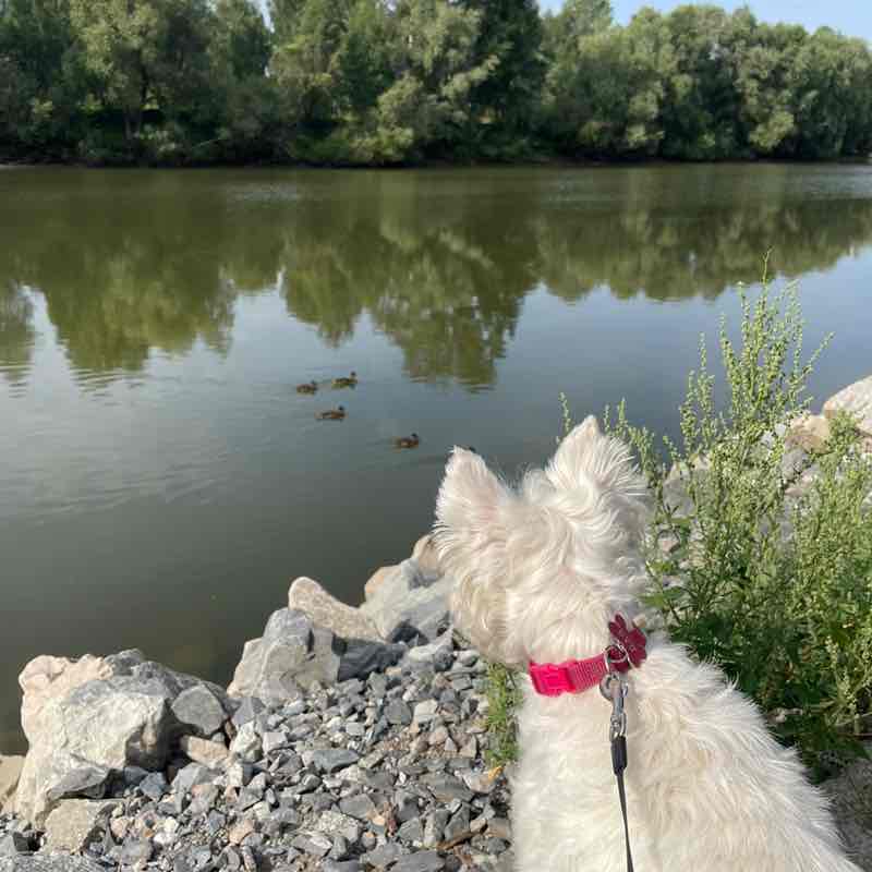 Алена Табанайнен post 2