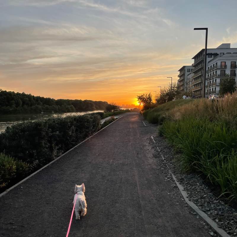 Алена Табанайнен post 1