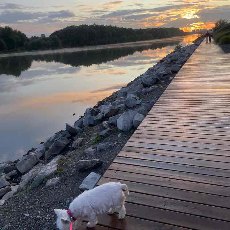 Алена Табанайнен post 1