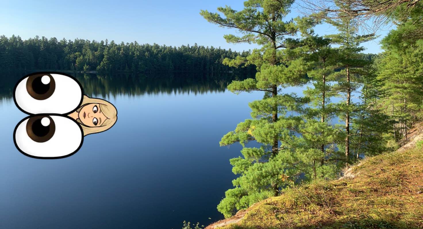 walking near me in Wolf Lake State Forest in winter