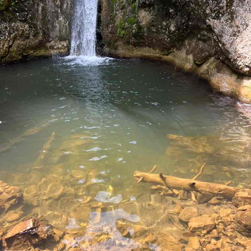 🌲Елена post 2