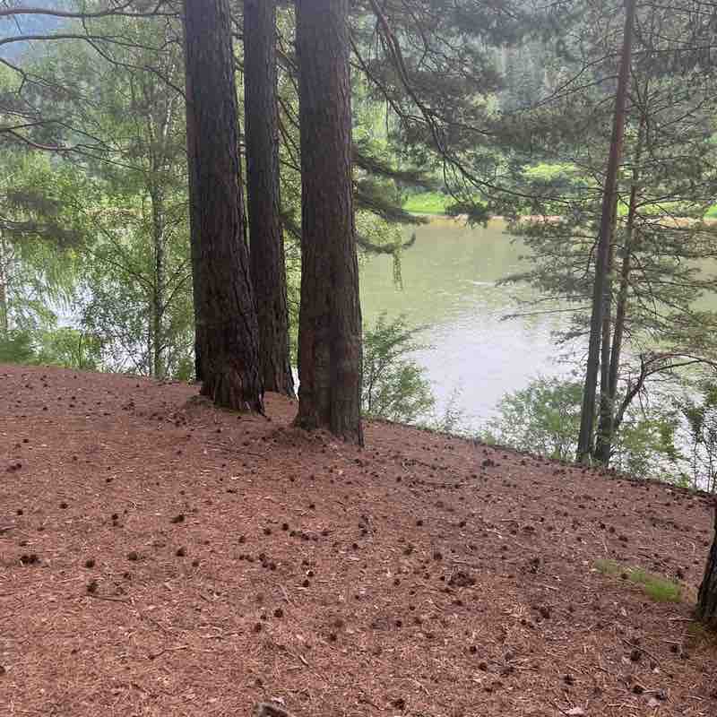 🌲Елена post 1