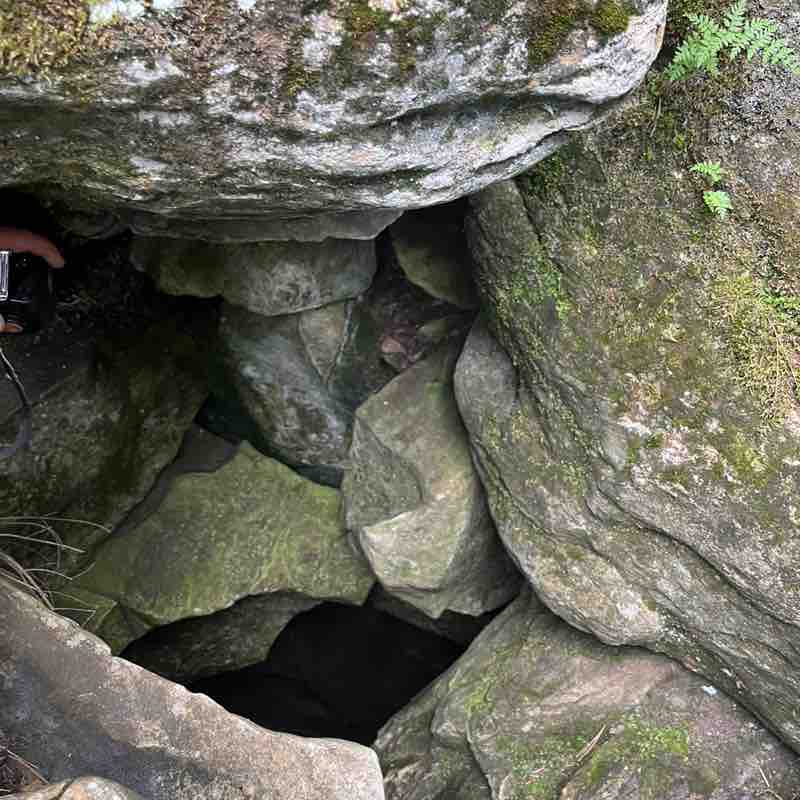 🌲Елена post 3