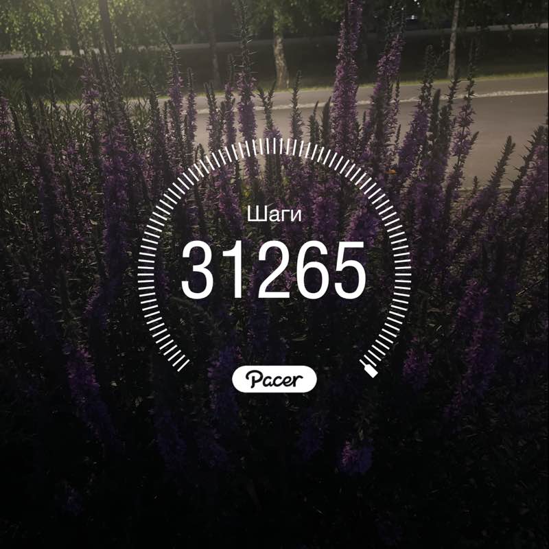 🌲Елена post 1