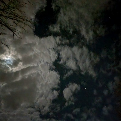 🇦🇺  d E b   🦔 post 1