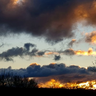 🇦🇺  d E b   🦔 post 2