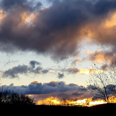 🇦🇺  d E b   🦔 post 1