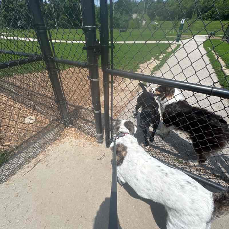 Robin Cazavilan post 1