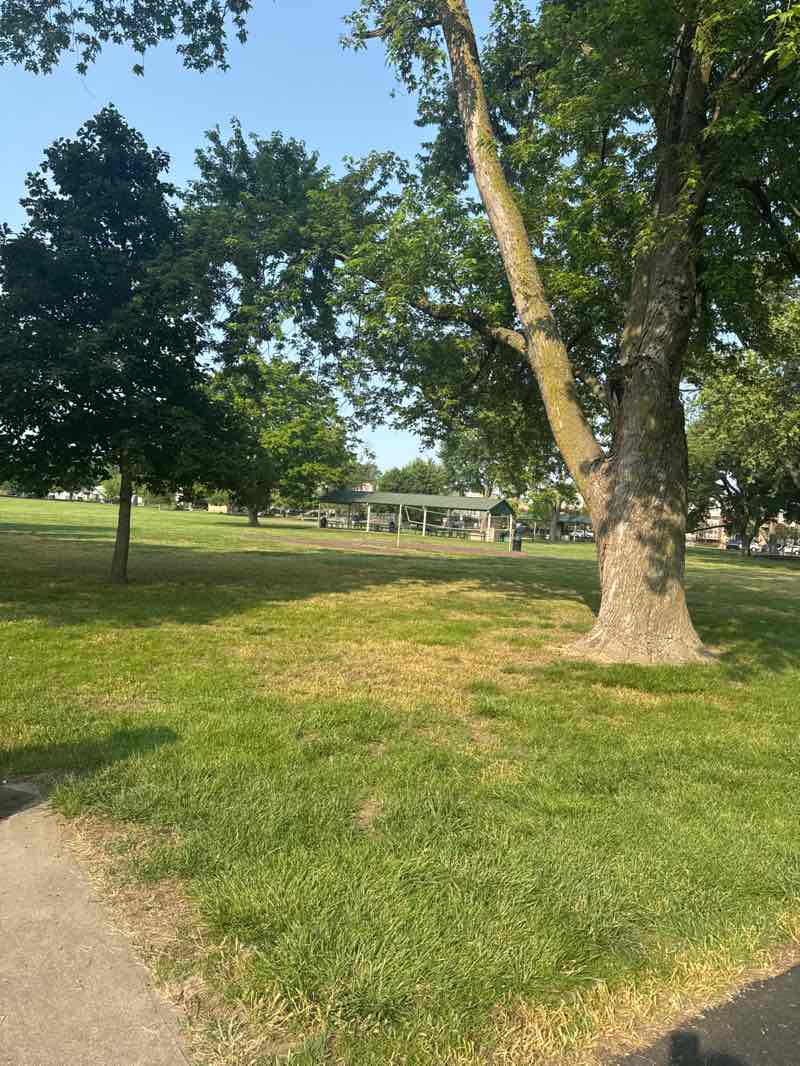 walking near me in Macken Park in summer