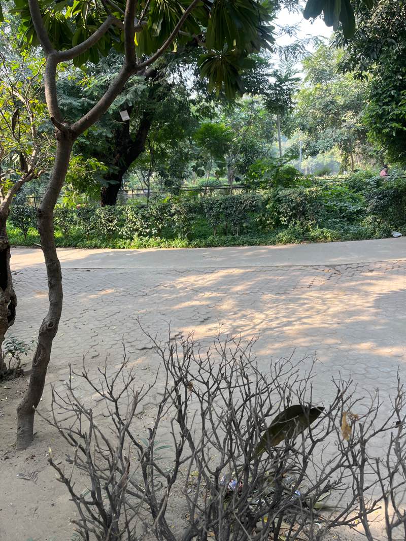 walking near me in Rakh Bag in autumn