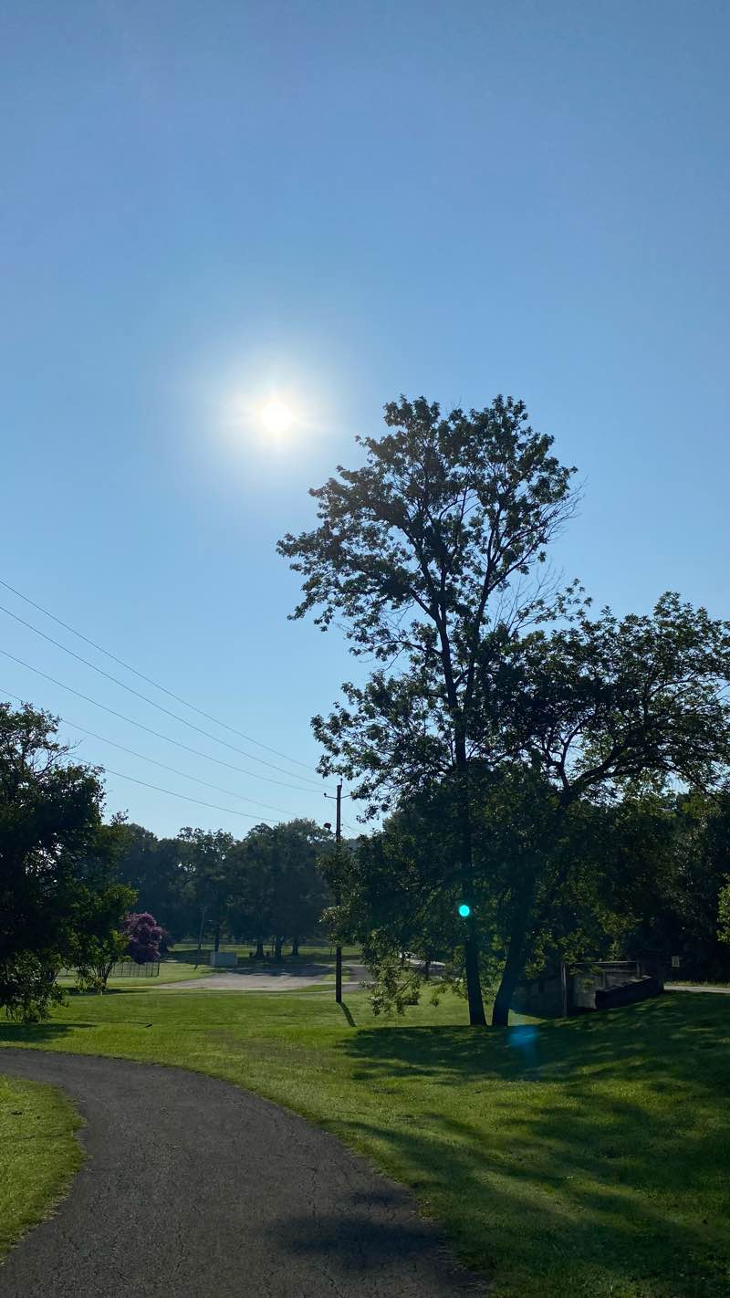 walking near me in Wolfe Park in winter