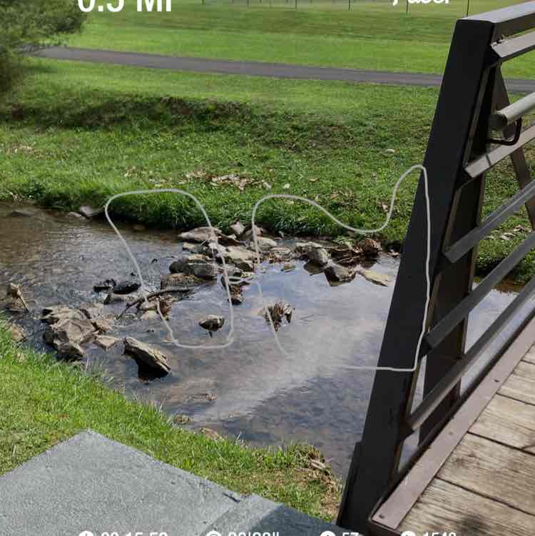 wendybelieves27 post 1