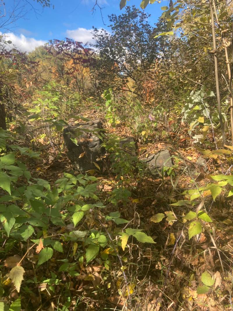 walking near me in Keehne nature preserve and park in winter
