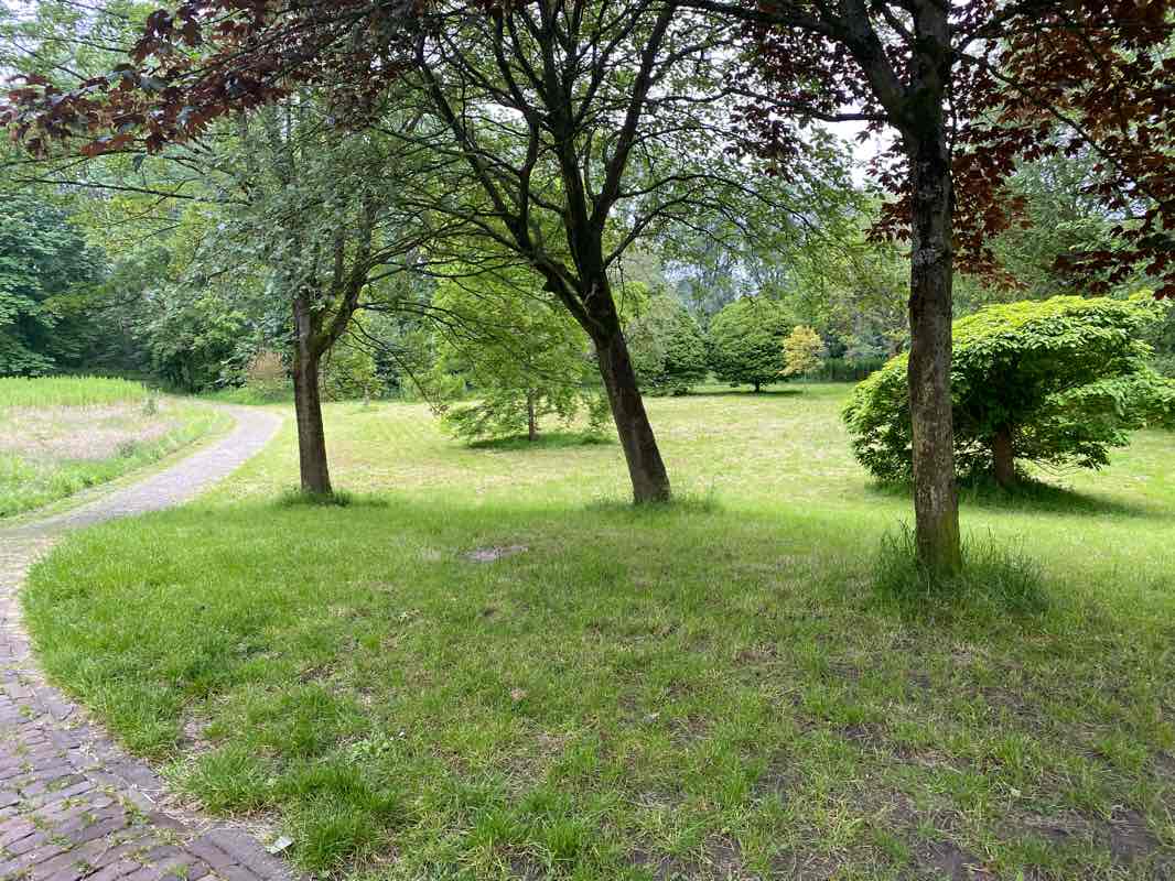 walking near me in Recreatiepark Rosarium in winter