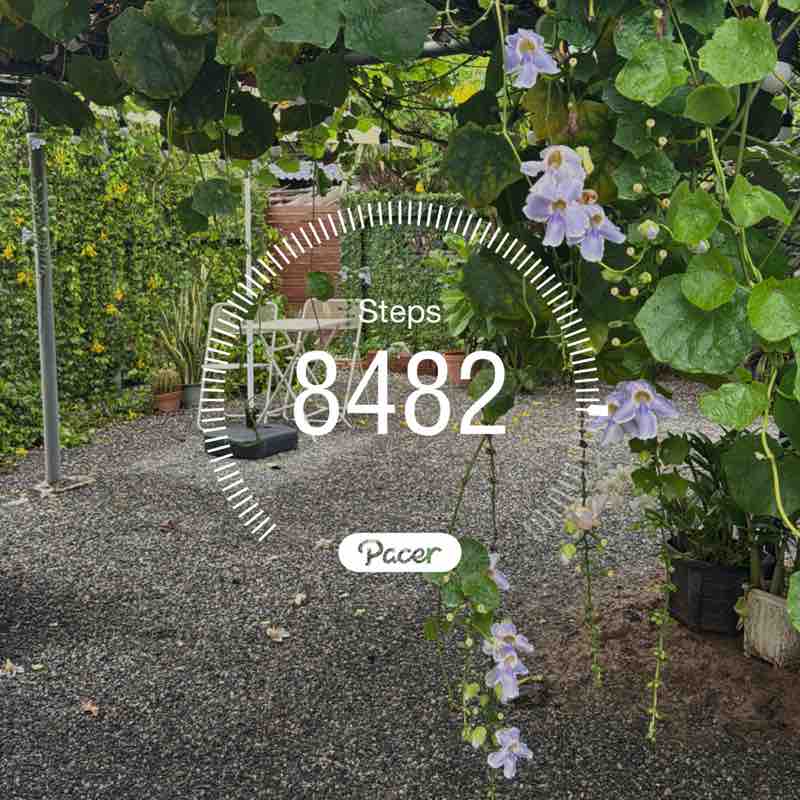 Phitchayapa Lordee post 1