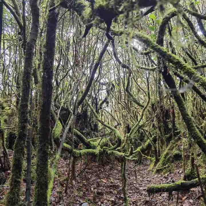 Sheau Wei Seng-MY.Supply Chain post 3