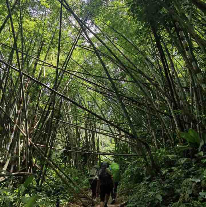 Sheau Wei Seng-MY.Supply Chain post 2