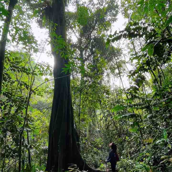 Sheau Wei Seng-MY.Supply Chain post 3