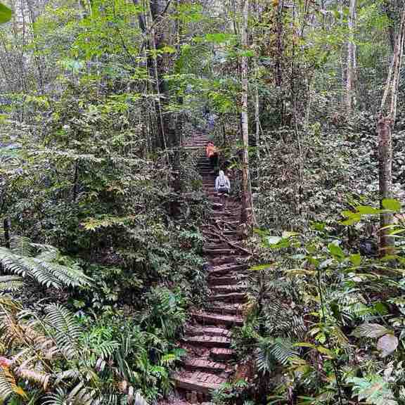 Sheau Wei Seng-MY.Supply Chain post 2