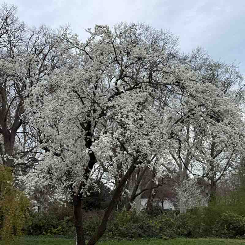 Montasar Al-mafragi post 2