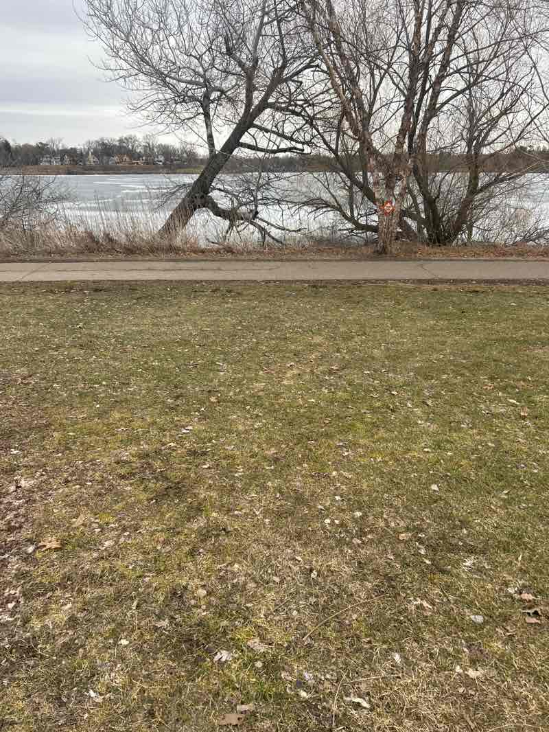 walking near me in Como Park Zoo and Conservatory in spring