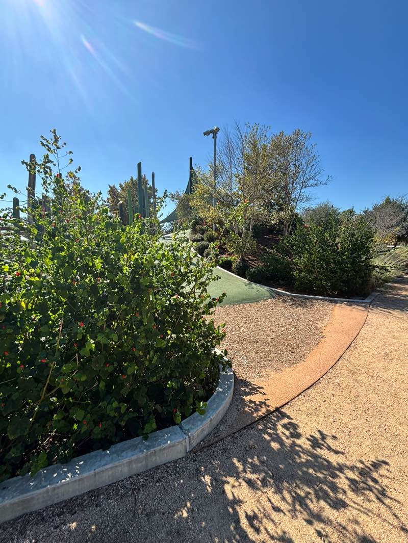 walking near me in Evelyn’s Park in autumn