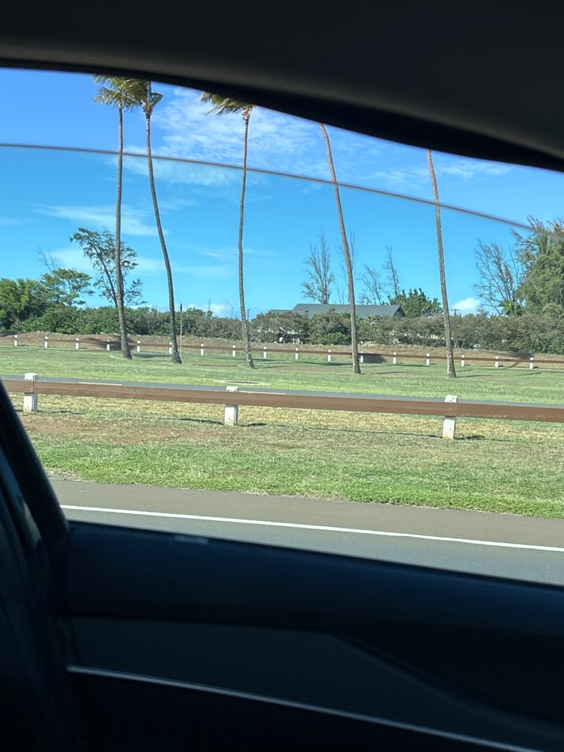 walking near me in Baldwin Beach Park in winter