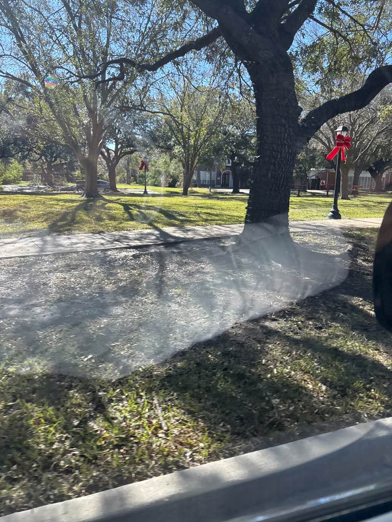 walking near me in Paseo Park in winter