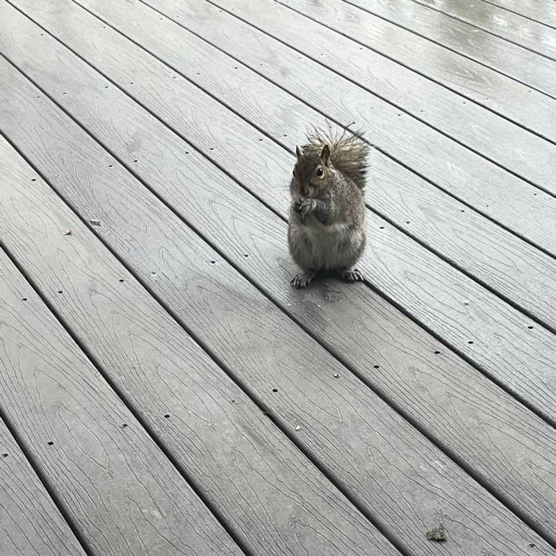 Magicalmomentsintime